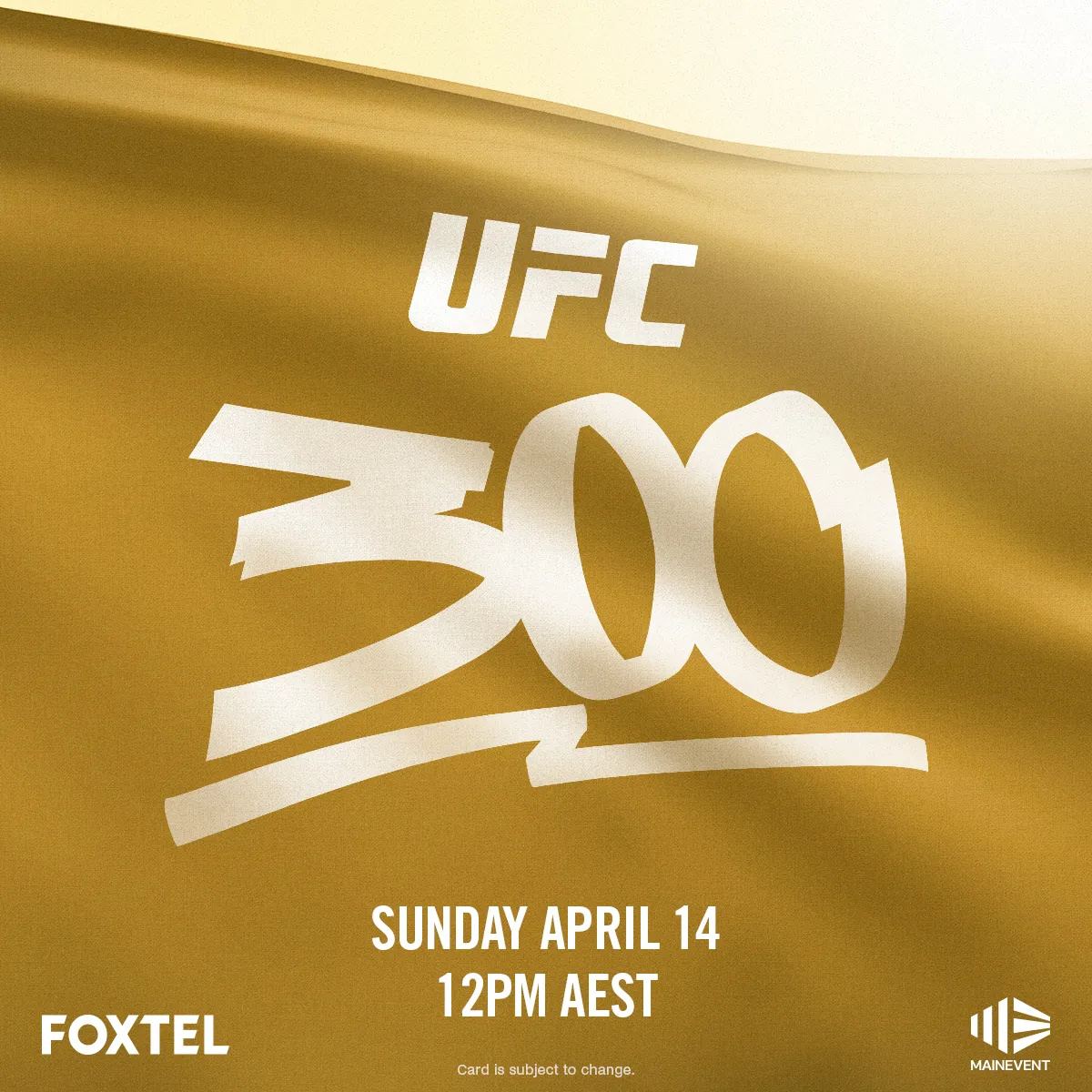 UFC 300_